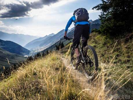 MONT' À VÉLO - SALLY ROBIN