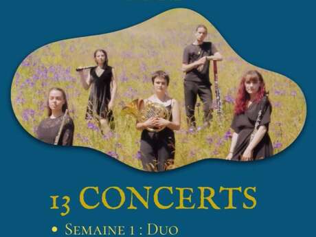 Festival de musique de chambre en Vallée des Gaves