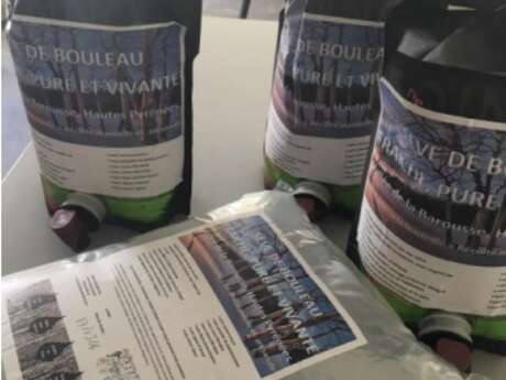 RECOLTE SEVE DE BOULEAU