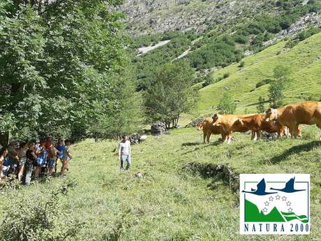 Secrets de villages à Héas : visite culturelle et rencontre pastorale avec un éleveur en site Natura 2000