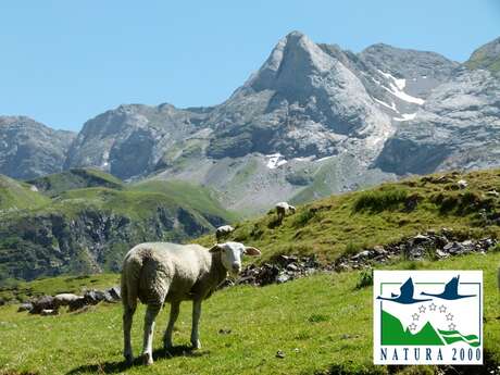 Sortie Natura 2000 : "Entre le Cirque de Troumouse et le Cirque d’Estaubé"