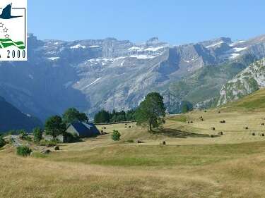 Sortie Natura 2000 : "À la découverte de la flore de nos montagnes sur le plateau de Saugué" Sortie Natura 2000 : "À la découverte de la flore de nos montagnes sur le plateau de Saugué"