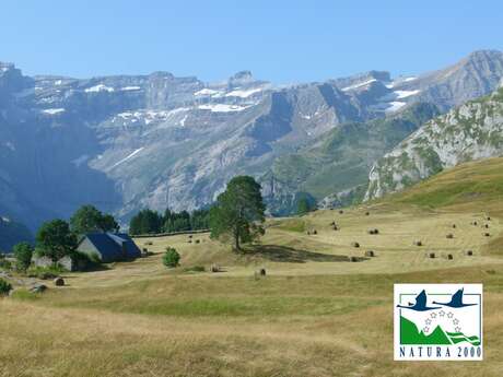 Sortie Natura 2000 : "Le plateau de Saugué face au Cirque de Gavarnie"