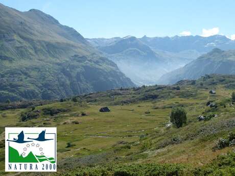Sortie Natura 2000 : "Le plateau de Coumély, un condensé de biodiversité"