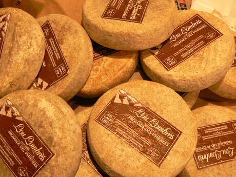 Visite fromagerie LOU LOMBRES
