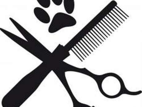 A BEAUTE CANINE