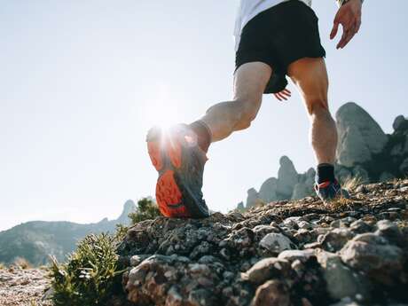Trail des Nestes