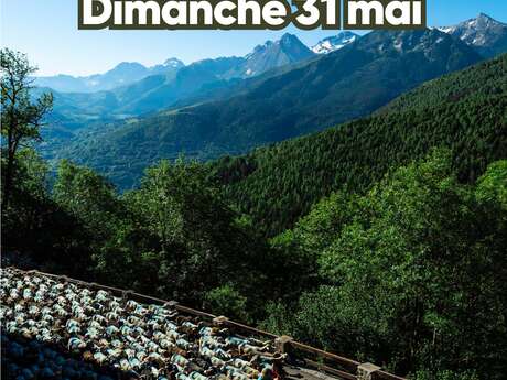 Transhumance de Soulan