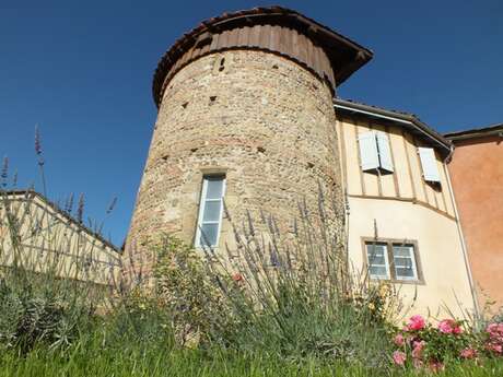 TOUR RONDE