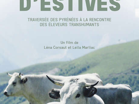 PROJECTION FILM "ECHOS D'ESTIVES"