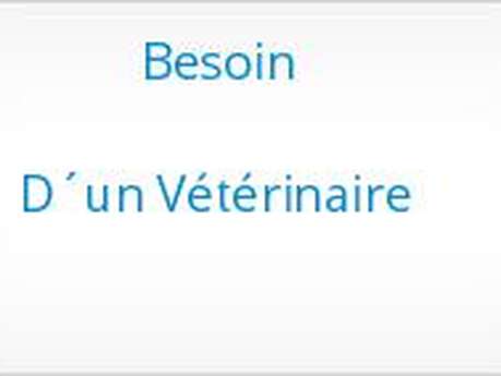 MEUNIER-SAUTTER (SCP)