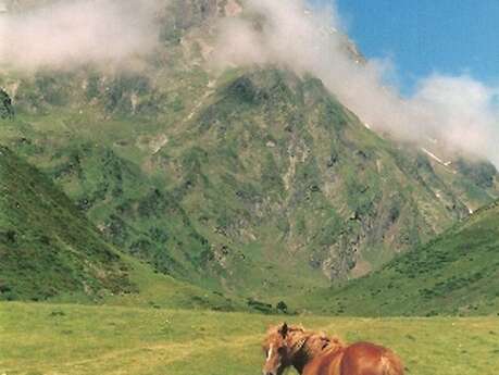 LE VAL D'ARIZES