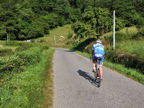 Tour de France 2026