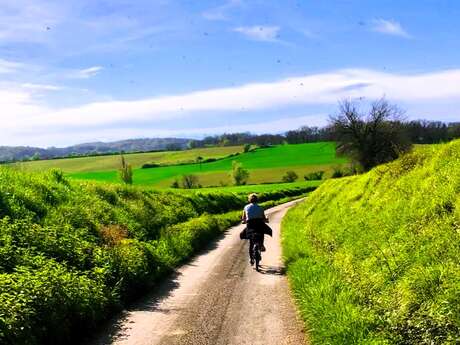 LOCATION DE VÉLOS À ASSISTANCE ÉLECTRIQUE AU DOMAINE DE CALABEL