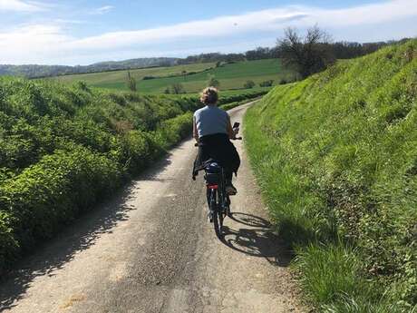 LOCATION DE VÉLOS À ASSISTANCE ÉLECTRIQUE AU DOMAINE DE CALABEL