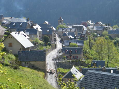 CIRCUIT DU PAYS D'ART ET D'HISTOIRE A AULON
