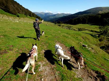 LE REPAIRE DES HUSKYS