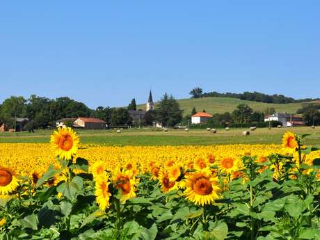 LA VALLÉE DE LA BAÏSE