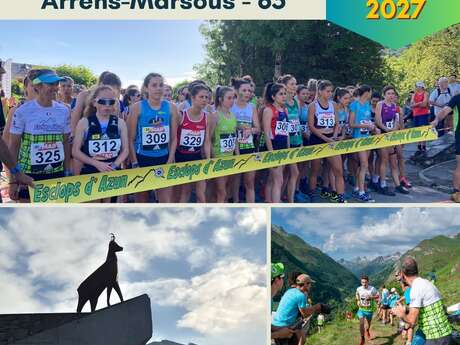Championnat de France de course verticale et de course en montagne