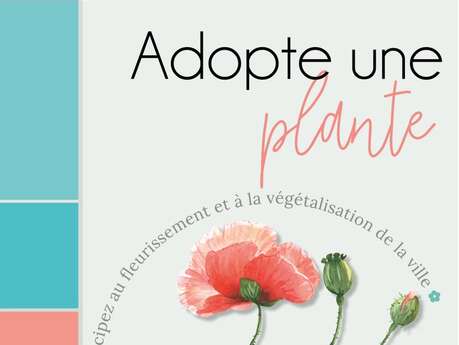 Adopte une plante