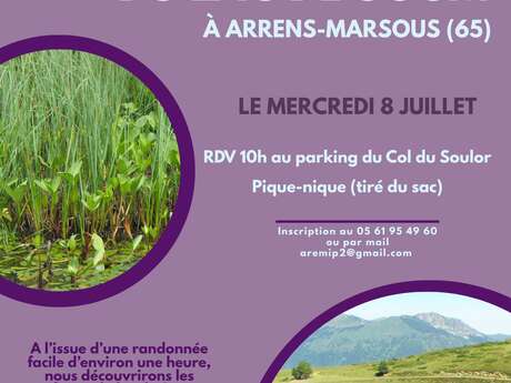 Sortie AREMIP : "Les zones humides du lac de Soum"