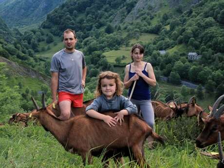 FERME BAYARDOUS