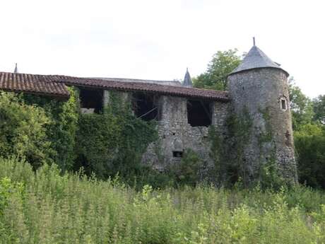 CHATEAU DE BIZE