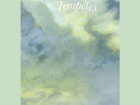 Exposition "Calmes tempêtes" par Pierre Brouillon