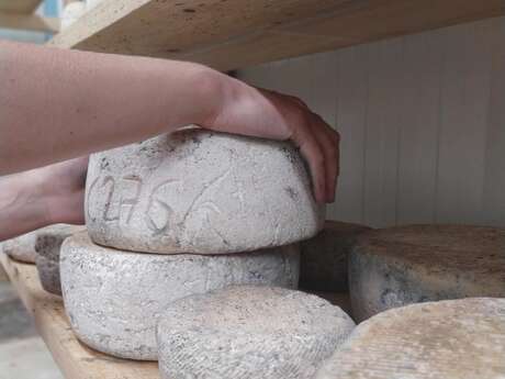 FROMAGERIE DE LA BAREILLE