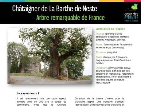 CHÂTAIGNER DE LA BARTHE-DE-NESTE