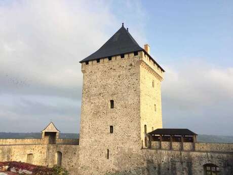 CHÂTEAU DE MAUVEZIN - MUSÉE GASTON FÉBUS