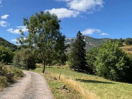 LA PETITE NATURE