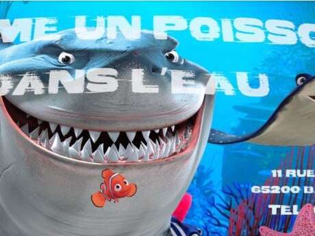 COMME UN POISSON DANS L EAU