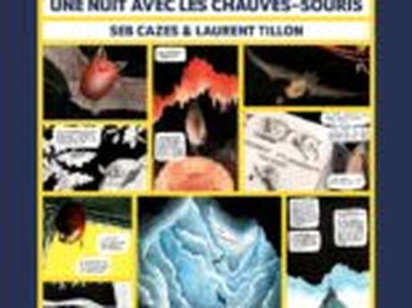 Exposition Une nuit avec les chauves-souris