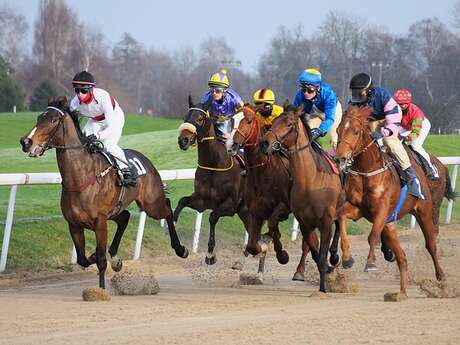 Course hippique