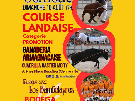 Course landaise