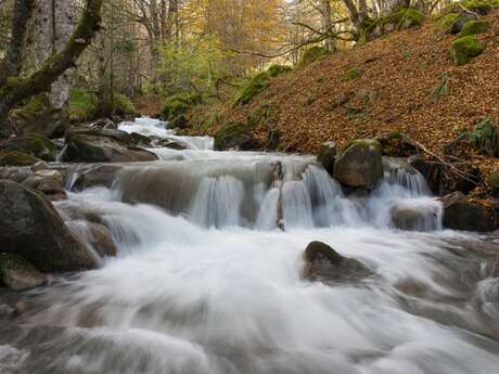 Conférence sur les milieux aquatiques et cours d'eau