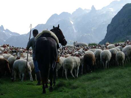 Atelier d'arts-plastiques enfants-Estives et transhumance