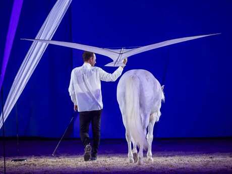Spectacle equestre, musical, poétique : Evolution(s)
