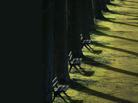 Exposition photographique "Luminances" par un collectif d'artistes