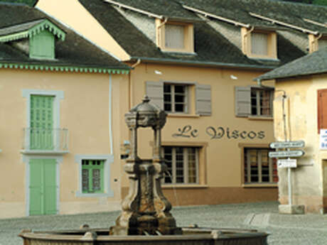LE VISCOS