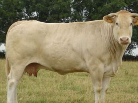 FERME BERRUT