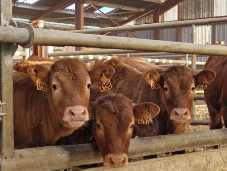 FERME DE LA COUSTERE
