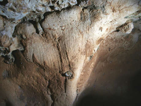 Conférence : La grotte de la Roche-Cotard
