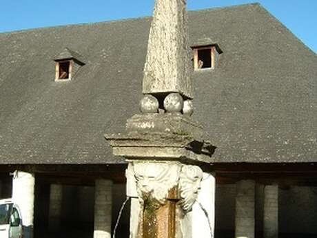 FONTAINES ET LAVOIRS DE CAMPAN