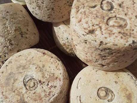 LE FROMAGER DE THÈBE