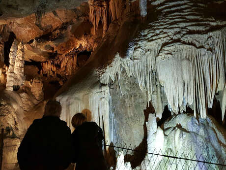 LES GROTTES DE MEDOUS