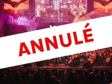 Concert Live - La musique magique d'Harry Potter