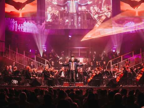 Concert Live - La musique magique d'Harry Potter Concert Live - La musique magique d'Harry Potter
