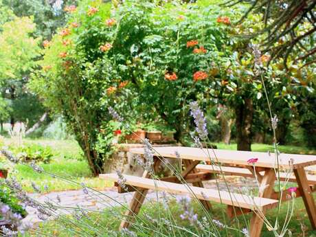 Marché aux plantes et produits locaux